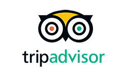 tripadvisor